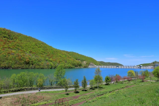 新緑のオタルナイ湖