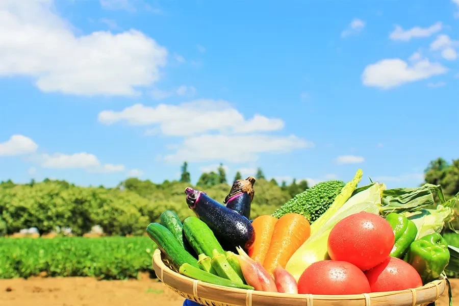 北海道の名物物産
