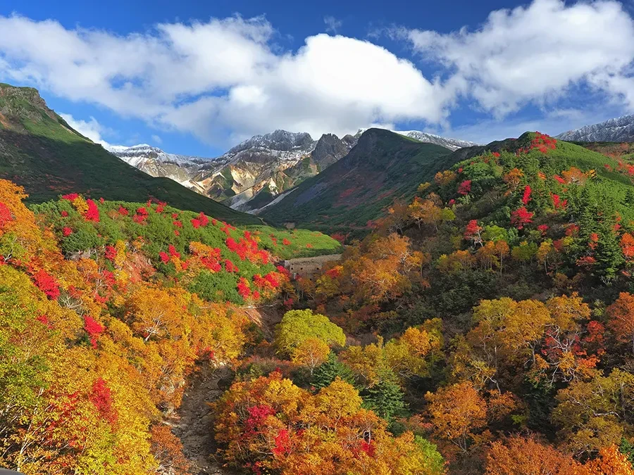 十勝岳