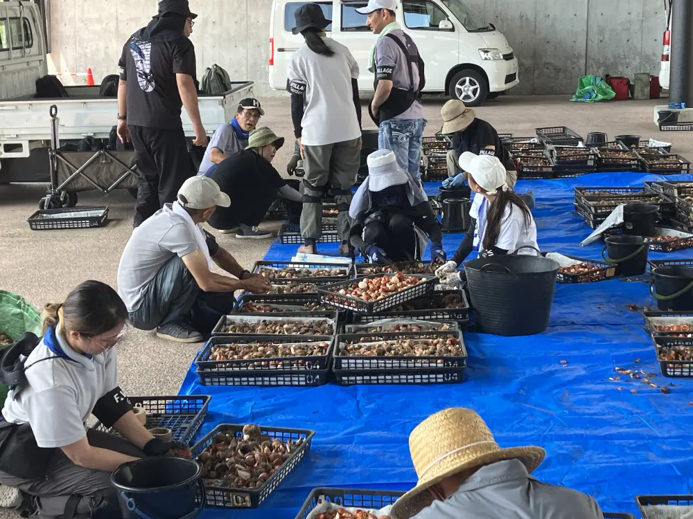 これまでの活動の様子