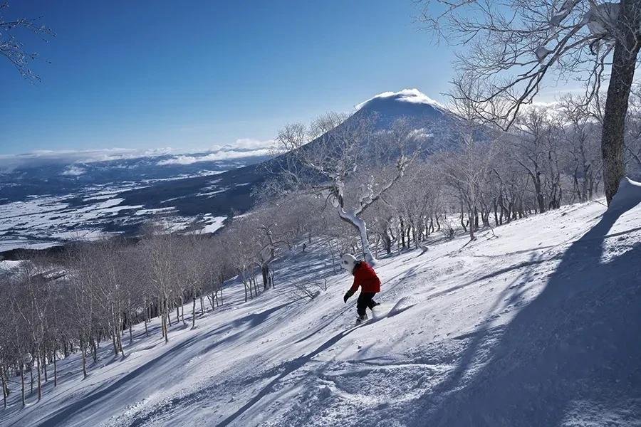 ニセコ東急 グラン・ヒラフ・ゲレンデの林間コースから羊蹄山を望む