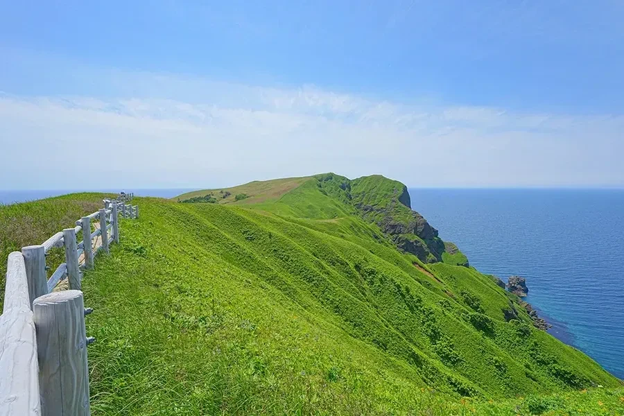 桃岩展望台コース