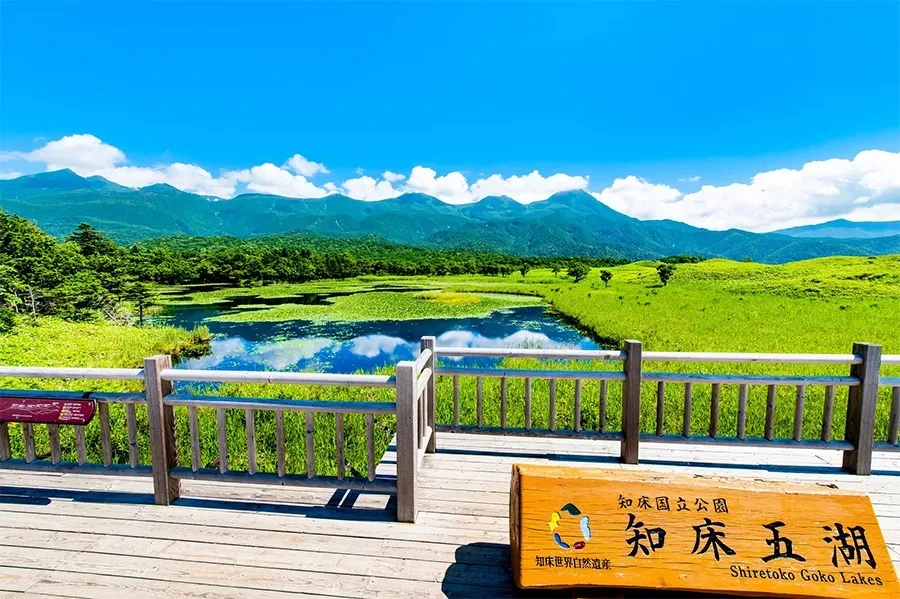 知床五胡