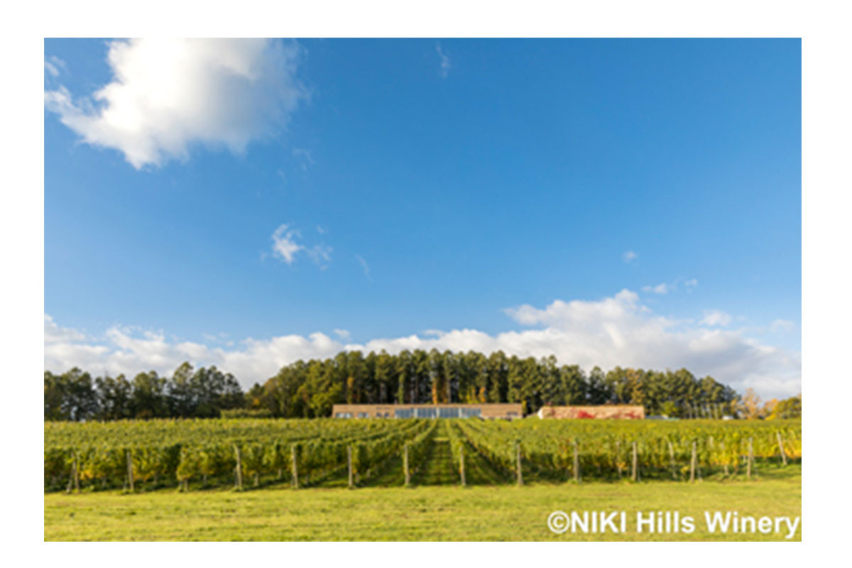 NIKI Hills Winery