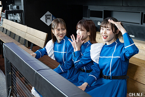 ファイターズガール