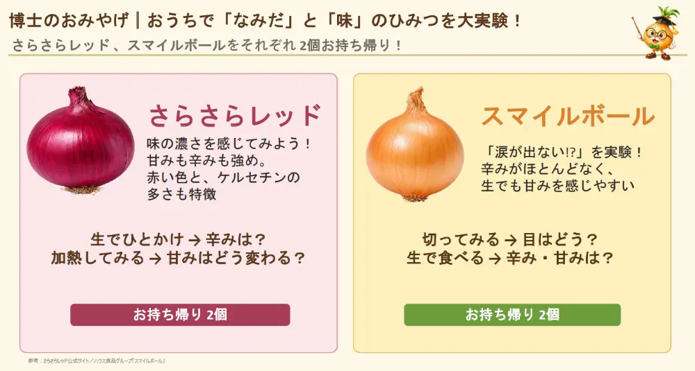 めざせ！たまねぎ博士