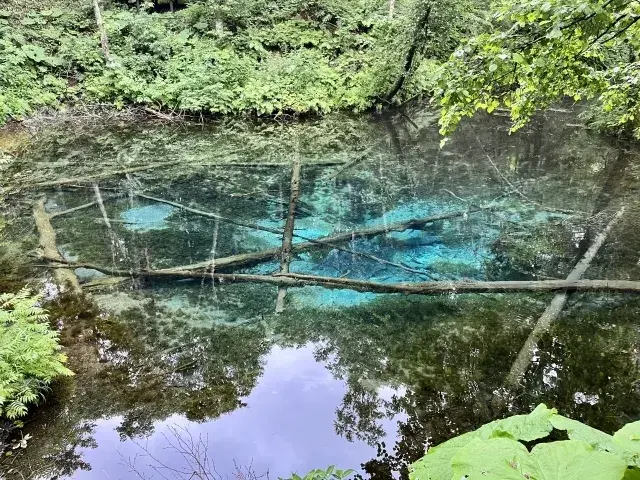 神の子池