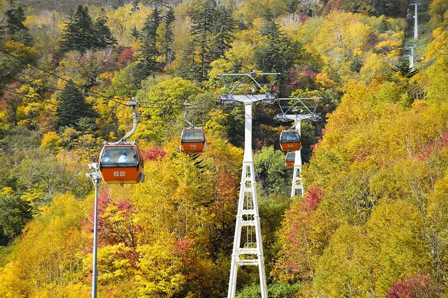 札幌国際スキー場　紅葉ゴンドラ