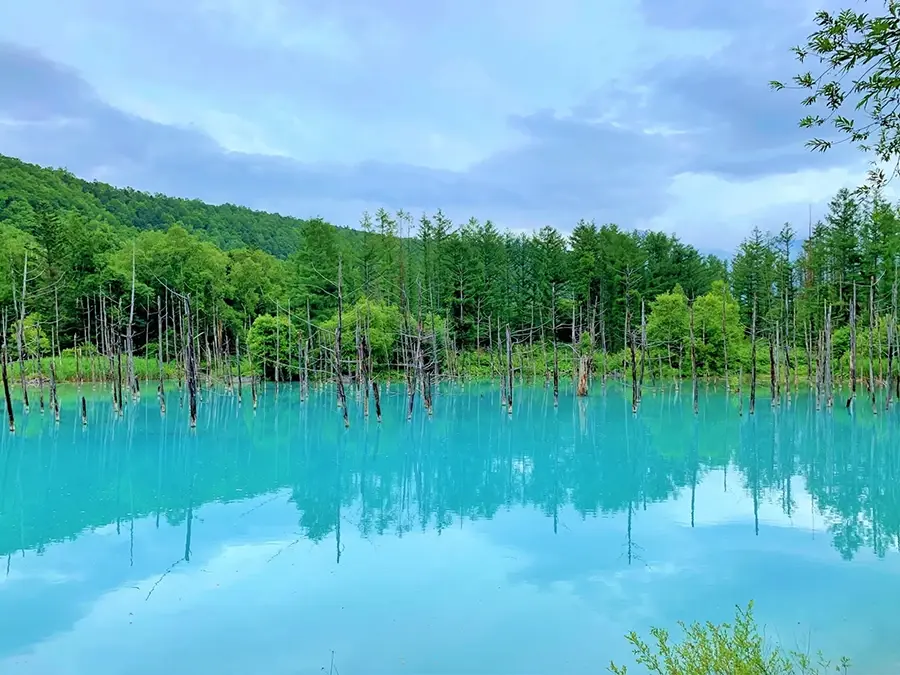 青い池