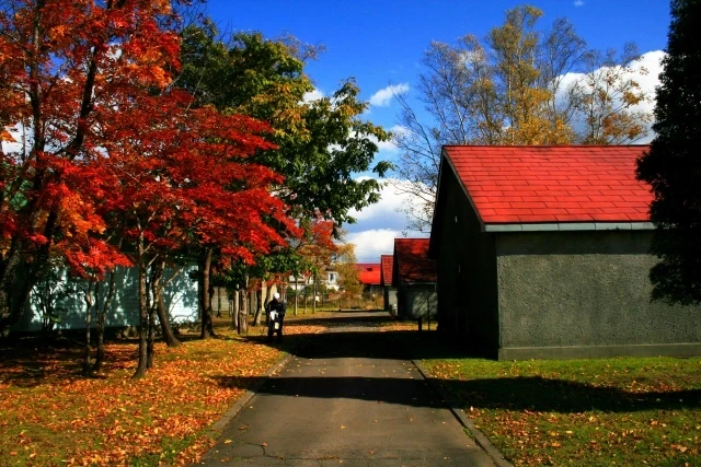 ウィスキー蒸溜所構内風景