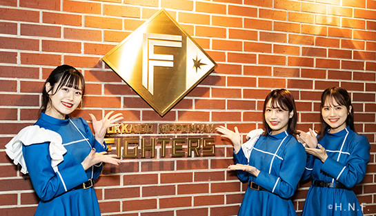 ファイターズガール