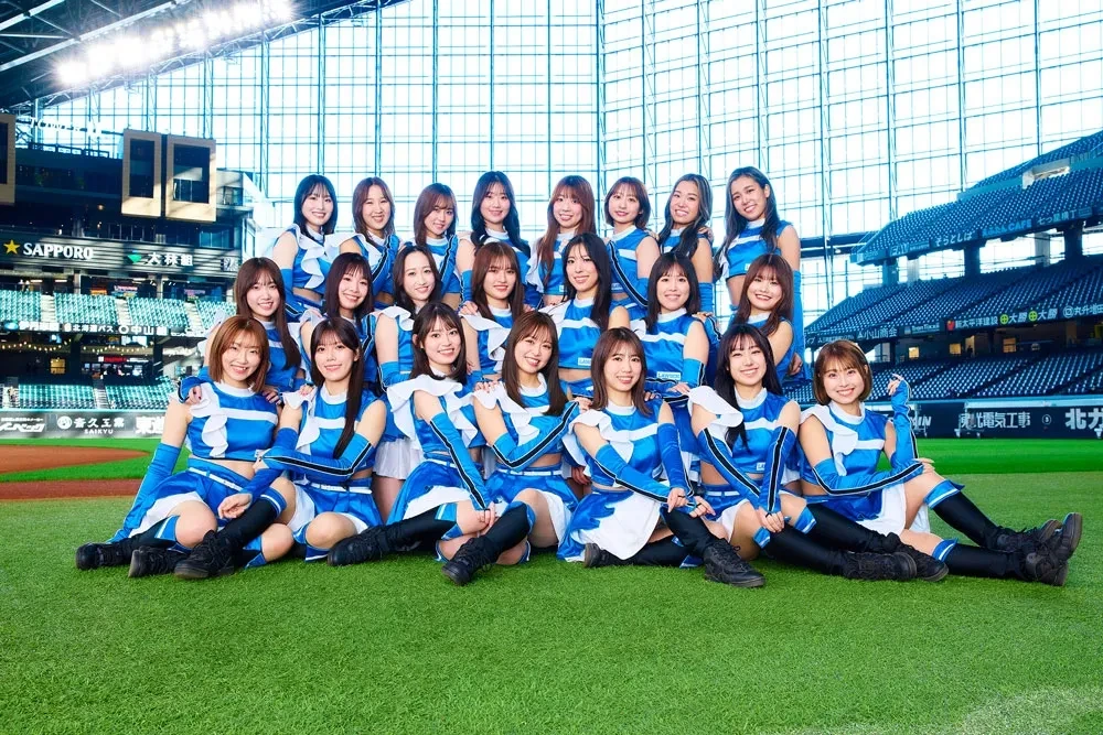 ファイターズガール