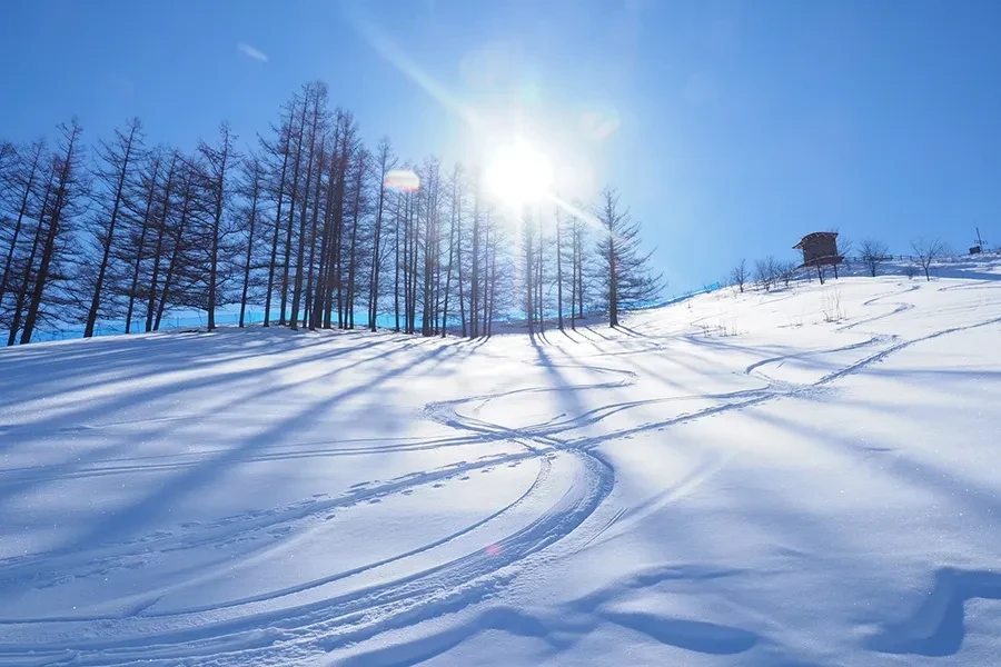 スキー場