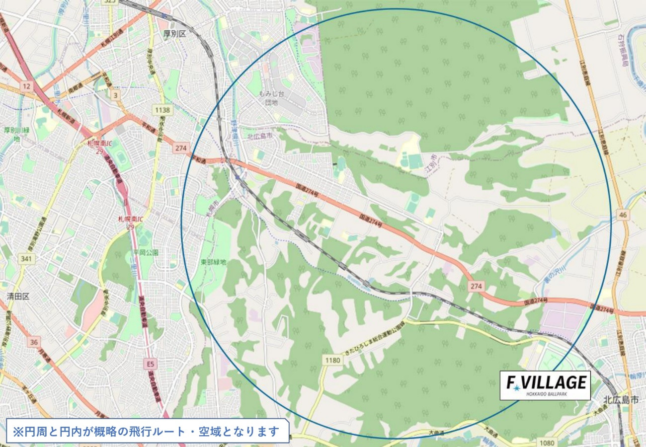 ブルーインパルス展示飛行