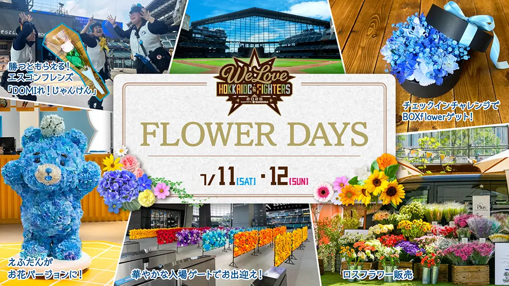 NEWS一覧 | HOKKAIDO BALLPARK F VILLAGE | 北海道ボールパークFビレッジ