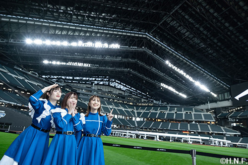 ファイターズガール