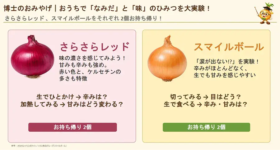 めざせ!たまねぎ博士