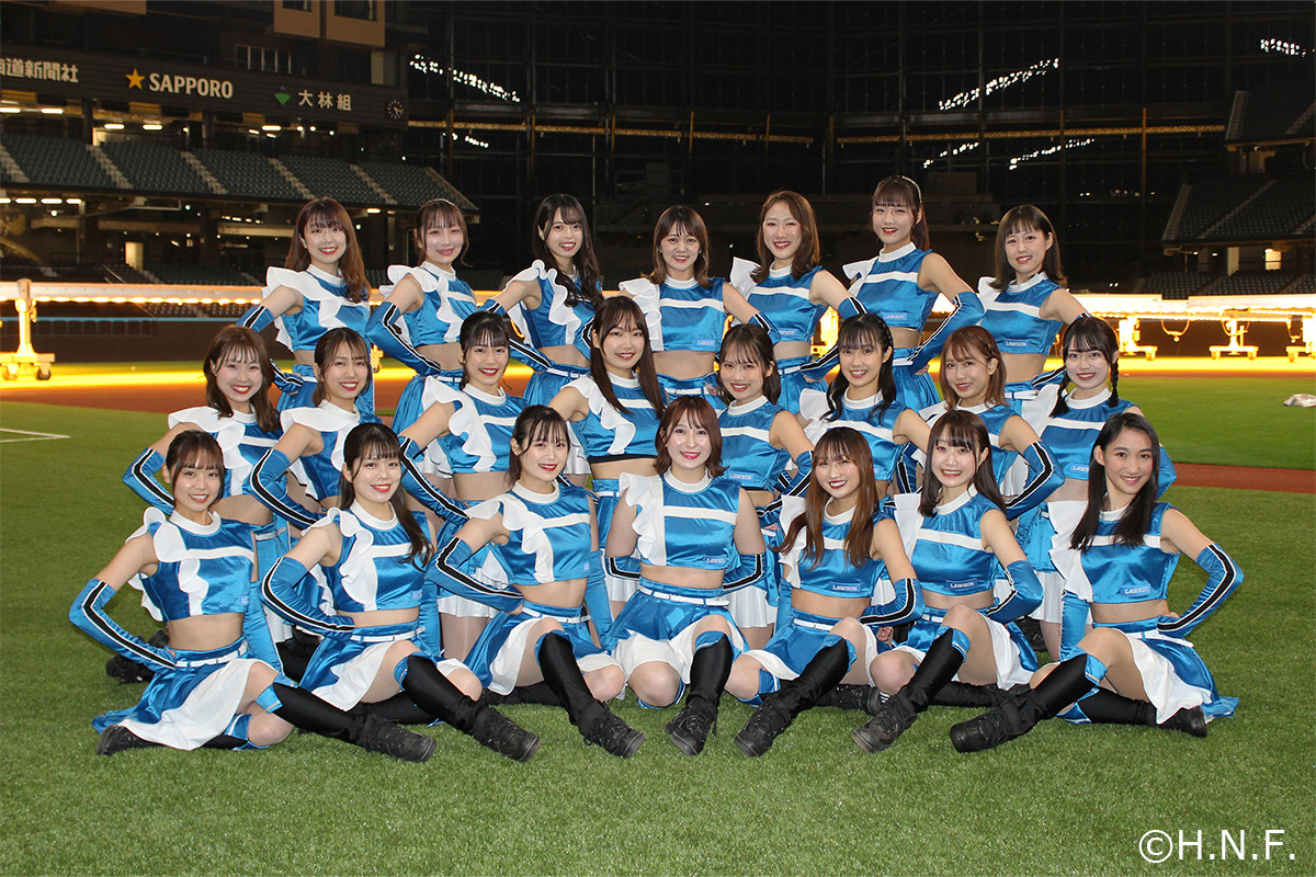 ファイターズガール