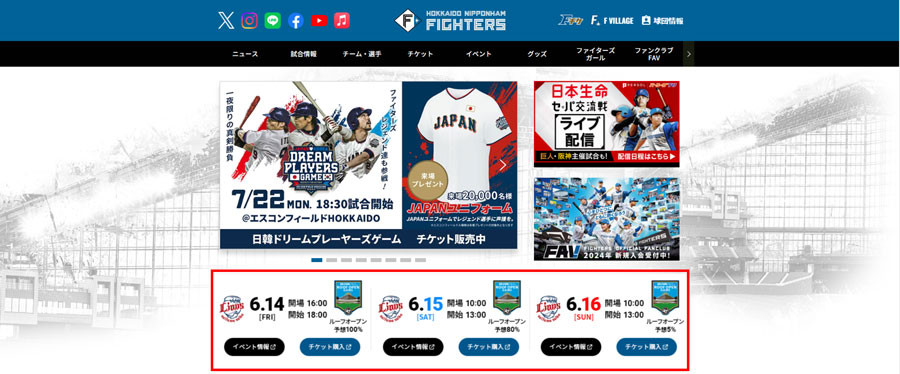 球団公式サイト