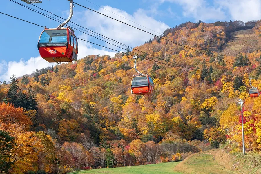 札幌国際スキー場の紅葉