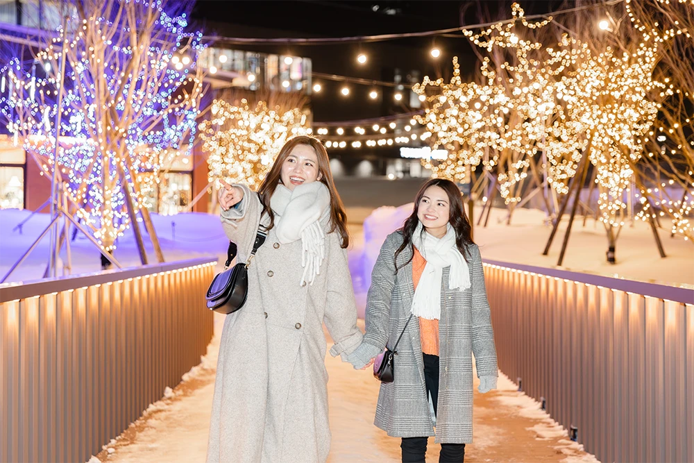 F VILLAGE WINTER ILLUMINATION