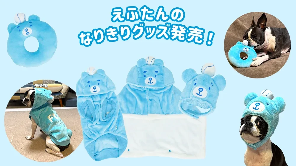 えふたんのなりきりグッズ発売！ | お知らせ | HOKKAIDO BALLPARK F