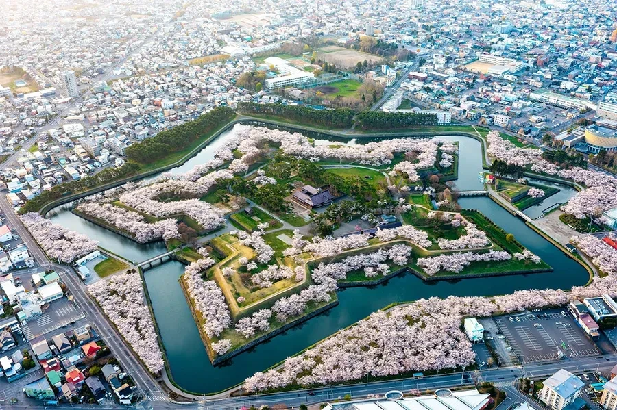 函館五稜郭の桜