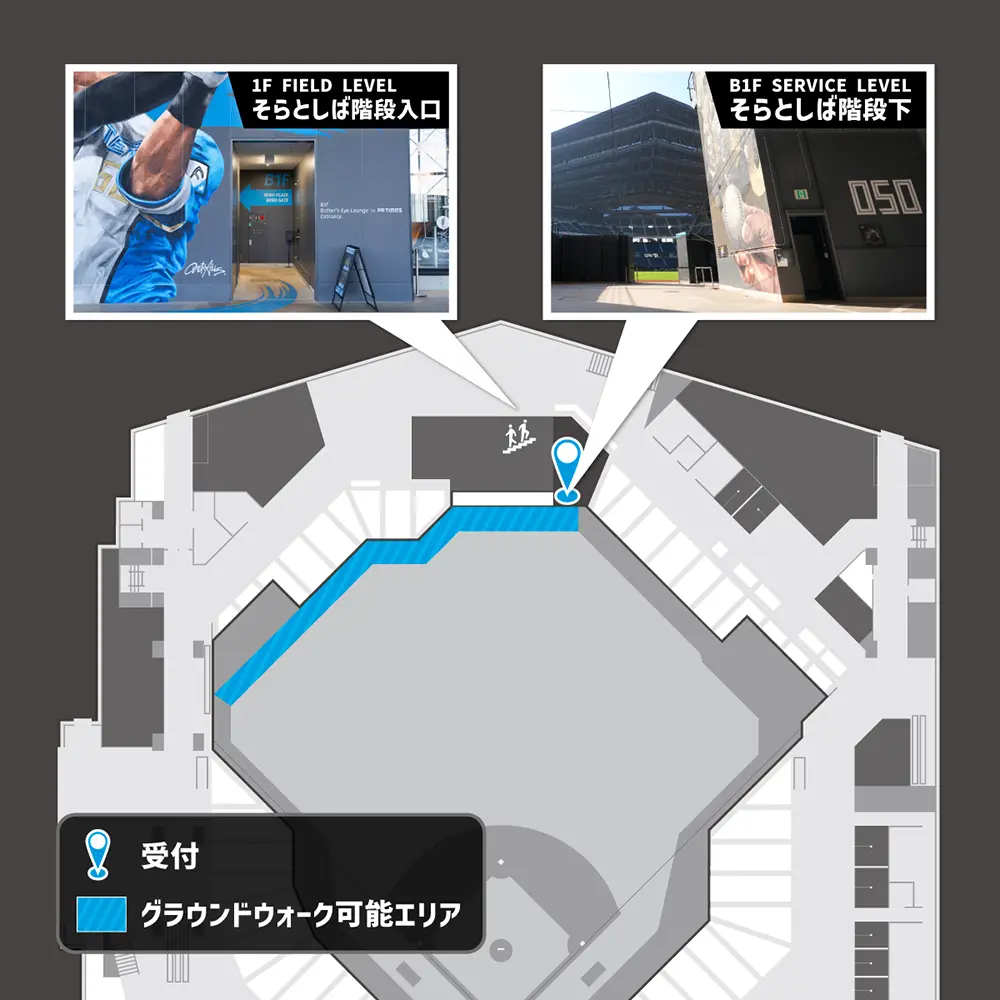 選手目線でエスコンフィールドを楽しめる！試合がない日にもグラウンド