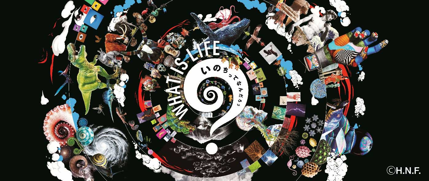 WHAT IS LIFE展