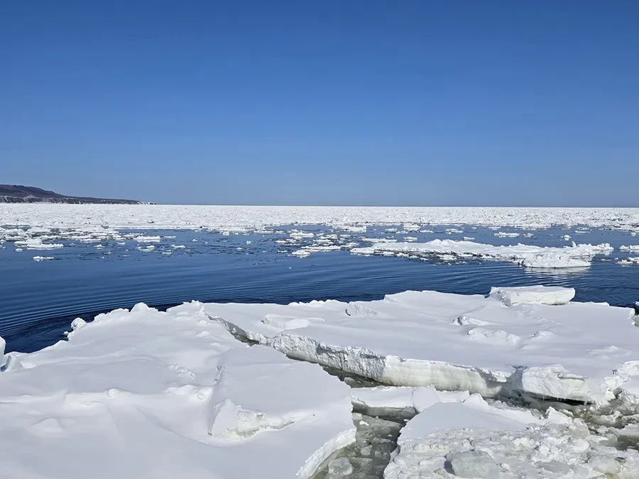  オホーツク海 流氷
