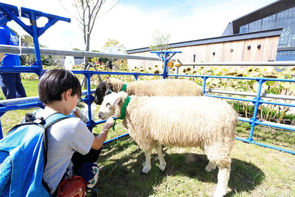KUBOTA presents AGRI WEEK in F VILLAGE