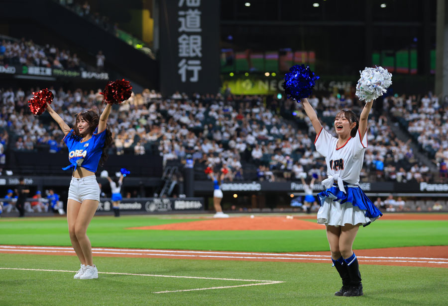 日韓ドリームプレイヤーズゲーム 公式試合球 日韓ドリームプレイヤーズゲーム 公式試合球 エスコン