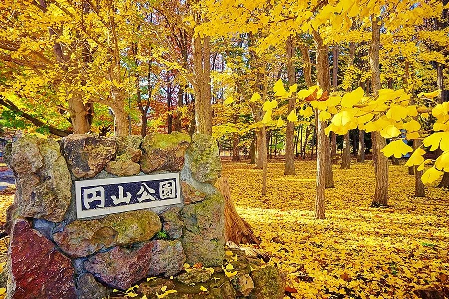秋の円山公園