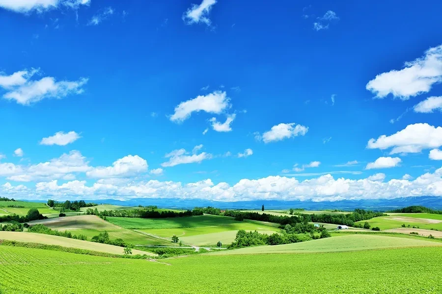 爽やかな青空と美瑛の風景