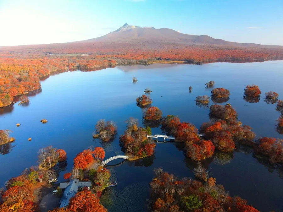 大沼公園の紅葉