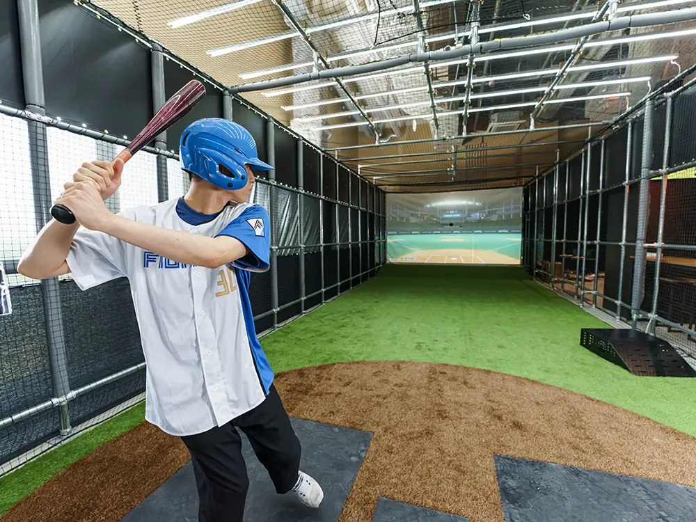tower eleven baseball