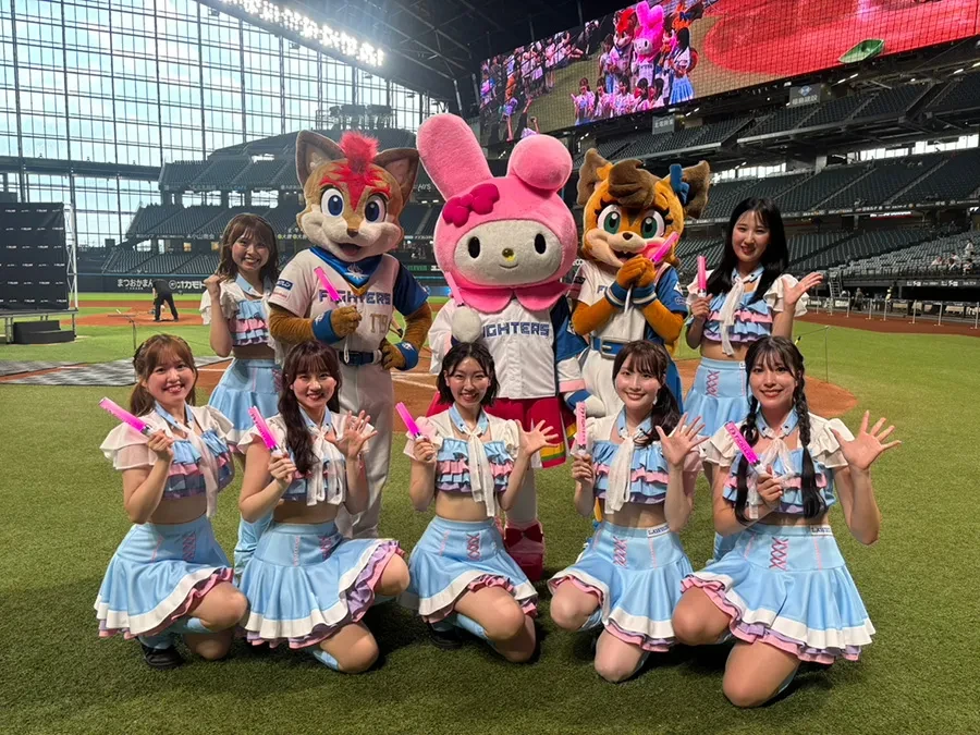 ファイターズガール