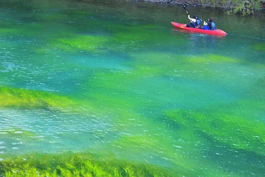 千歳川