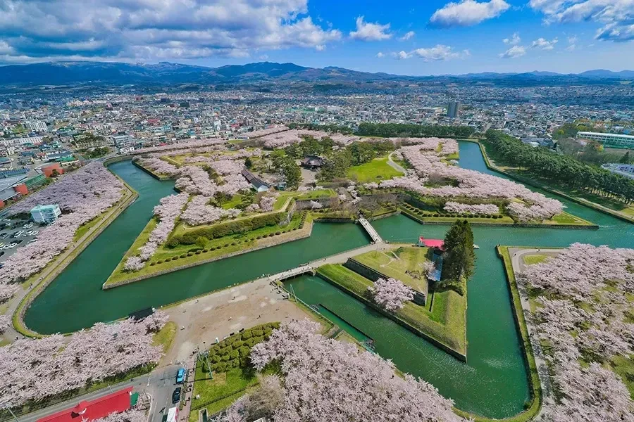 五稜郭タワー　展望桜