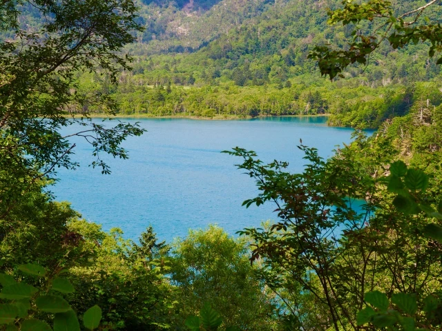 オコタンペ湖の湖面