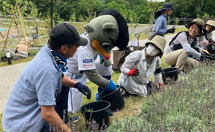 Fビレッジガーデンサポーター活動